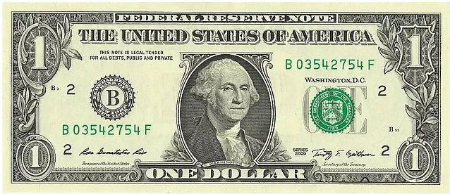 1 Amerikan Doları