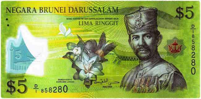 Brunei Para Birimi (Brunei Doları)